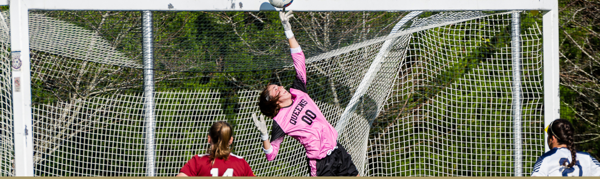 Goalie Save